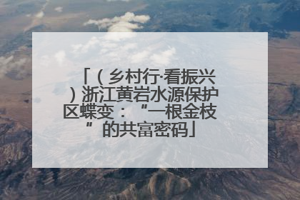 （乡村行·看振兴）浙江黄岩水源保护区蝶变：“一根金枝”的共富密码